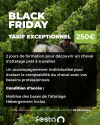 Offre Black Friday : Module “Découverte Cheval de Travail”
